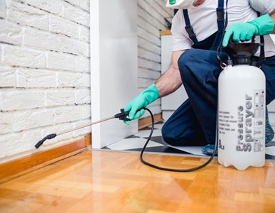 بهترین سمپاشی