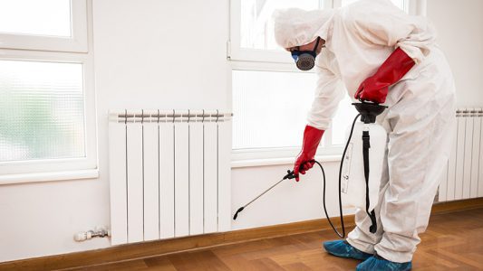 بهترین سمپاشی