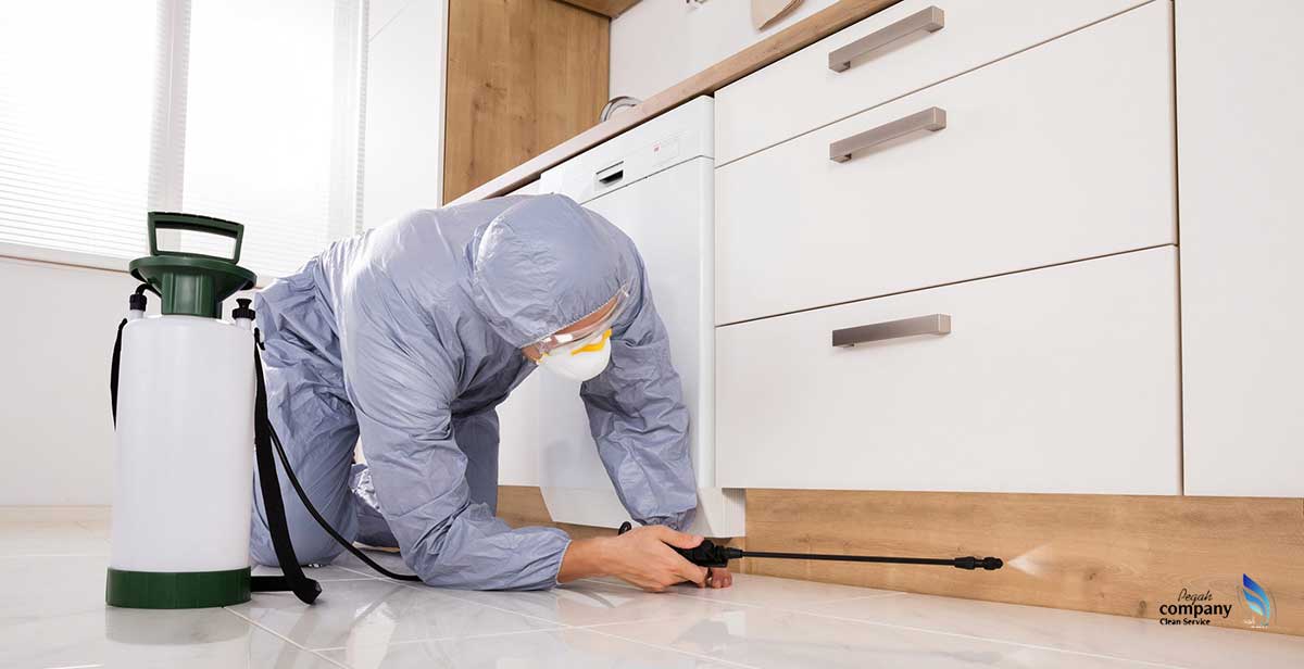 سمپاشی خوب در تهران